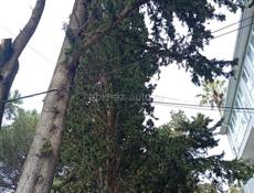  больше тел вацап +79409002290 двое 