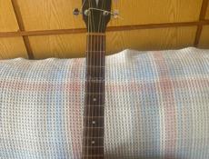 Гиатара корт акустика