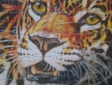 Продам или обменяю