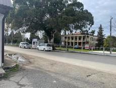 Алахадзе гатовый бизнес