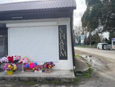 Алахадзе гатовый бизнес