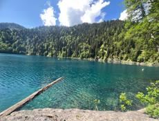 Сниму квартиру 