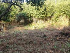 Участок 9 соток