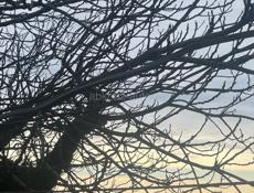 Требуется помощник по хозяйству 