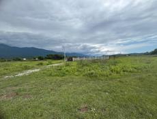 Алахадзы. 6 сот