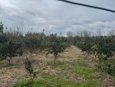 Продаю дом с документами