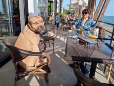 Ищу невесту 