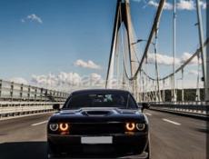 Возьму машину в аренду, 