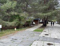 Сдам точку в курорте