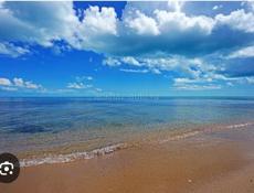 Недвижимость 