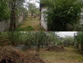 участок в г.Гагра