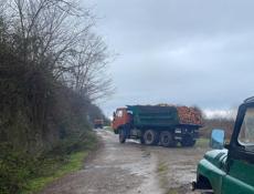 Дрова колотый и не колотый 