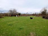 Продаю участок