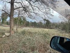 Срочно продается участок 9 соток Цандрипш