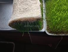 Корм для животных