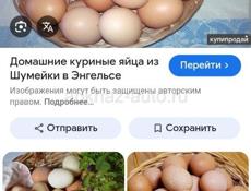 Домашние яйца