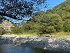 Ищу Инвесторов !