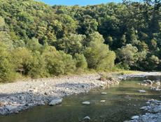 Ищу Инвесторов !