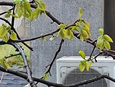 Бак для воды Алюминий 1000л