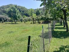 Участок 1га23сот 