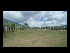 Участок 10 соток