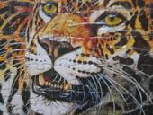 Продам или обменяю