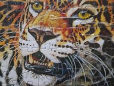 Продам или обменяю