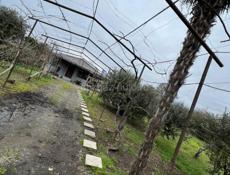 Дом с участком 38 соток.