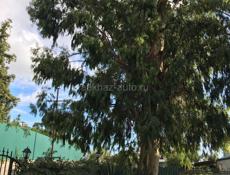 Семейные номера эконом