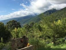 Семейные номера эконом