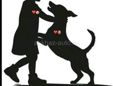 Летний сезон!