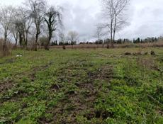 Продаю срочно