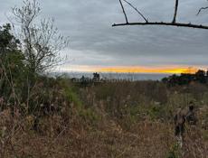 57 соток Нижняя Эшера  ЦЕНА ДОГОВОРНАЯ 