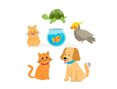 Передержка животных и уход 