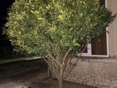 здравствуйте продаю за 30000руб +79407788687