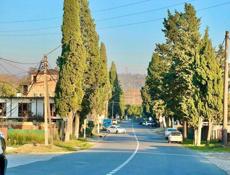 УЧАСТОК НА БЕРЕГУ МОРЯ В ГУДАУТЕ