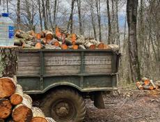 Дрова Ацаца граб Алха колотый и не колотый 25-35₽