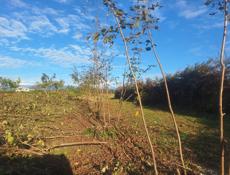 чистим участки