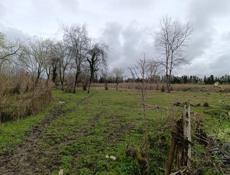 Продаю срочно 