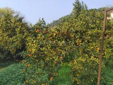 Срочно ❗❗❗