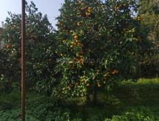 Срочно ❗❗❗