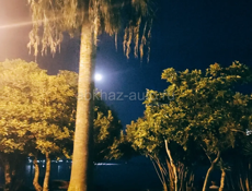 Ищу квартиру 