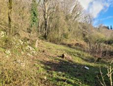 Гагра Срочно