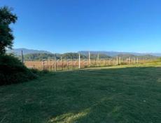 Продажа участка , в Пицунде