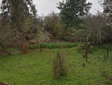 Продаётся земельный участок 6 соток 