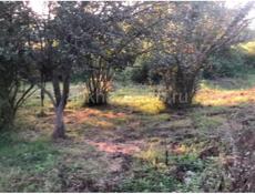 Цандрипш 10 соток ПСОУ