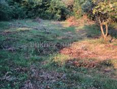 Цандрипш 10 соток ПСОУ