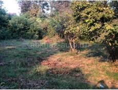 Цандрипш 10 соток ПСОУ