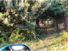 Цандрипш 10 соток ПСОУ