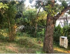 Цандрипш 10 соток ПСОУ